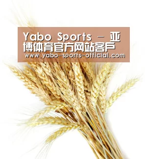 Yabo Sports - 亚博体育官方网站客户端下载