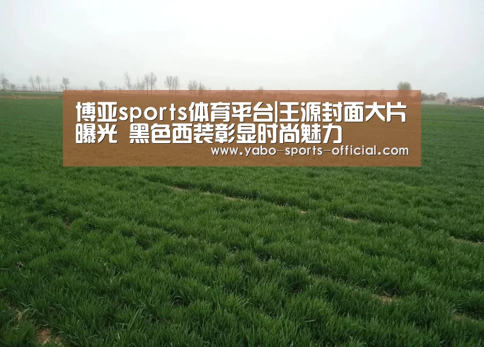 博亚sportsapp