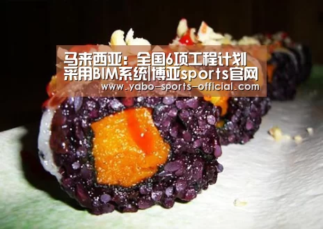 马来西亚:全国6项工程计划采用BIM系统|博亚sports官网(图2) 博亚sportsAPP下载
